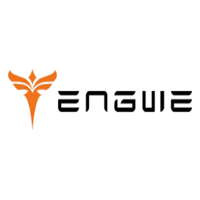 Engwe DE